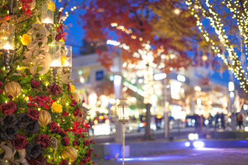 【2023】おすすめのオーナメントでクリスマスツリーを惹きたてる