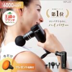 NIPLUX　　ファシアラックス　ミニ