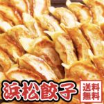 手作り冷凍浜松餃子 84個セット